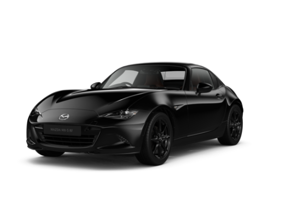 Jet Black Mica